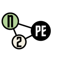 network for new political economy logo