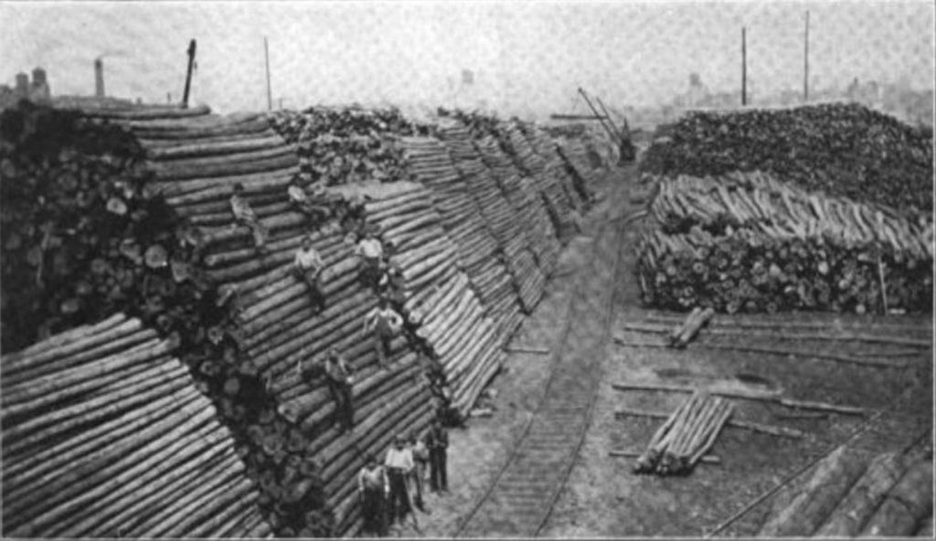 stacks of logs