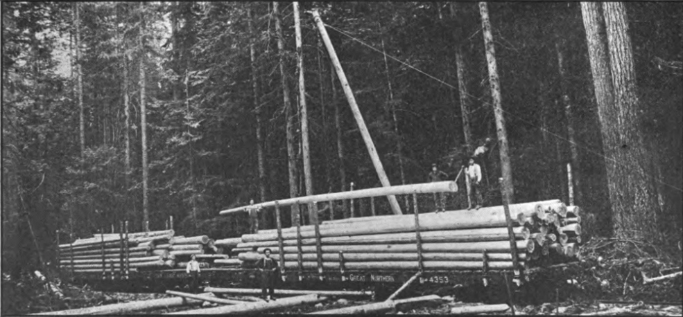 loading logs