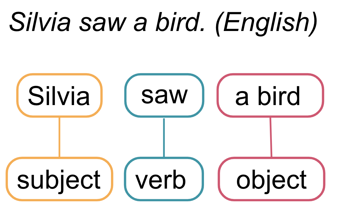 a structured graph showing the sentence "sylvia saw a bird" as "subject verb object"