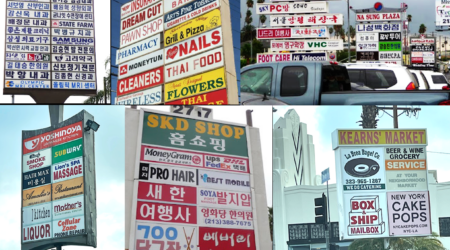 Mini-mall signs in various languages