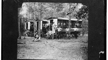 Chain gang of convicts engaged in road work. Pitt County, North Carolina. Autumn 1910. The inmates were quartered in the wagons shown in the picture. Wagons were equipped with bunks and move from place to place as labor is utilized. The central figure in the picture is J.Z. McLawhon, who was at that time county superintendent of chain gangs. The dogs are bloodhounds used for running down any attempted escapes