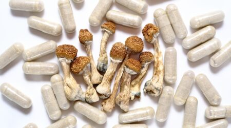 Micro dosing concept. Dry psilocybin mushrooms and natural herbal pills on white background. Psychedelic magic mushroom as medical supplement.