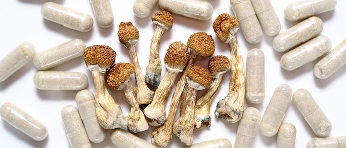 Micro dosing concept. Dry psilocybin mushrooms and natural herbal pills on white background. Psychedelic magic mushroom as medical supplement.